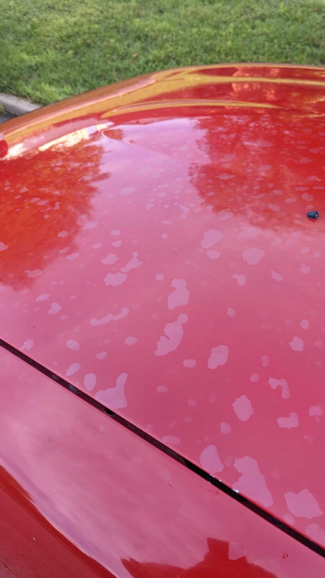 Water Spots & Etching
